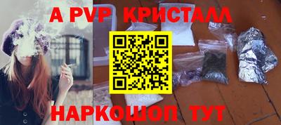 СК Донской