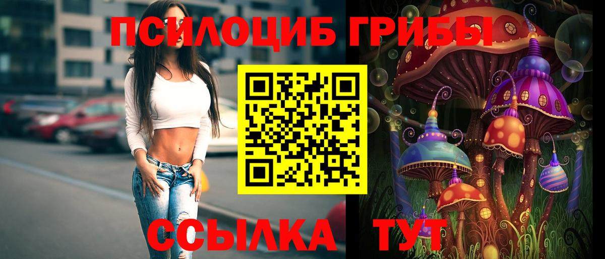 Мыски  Псилоцибиновые грибы ЛСД  Вход с VPN 